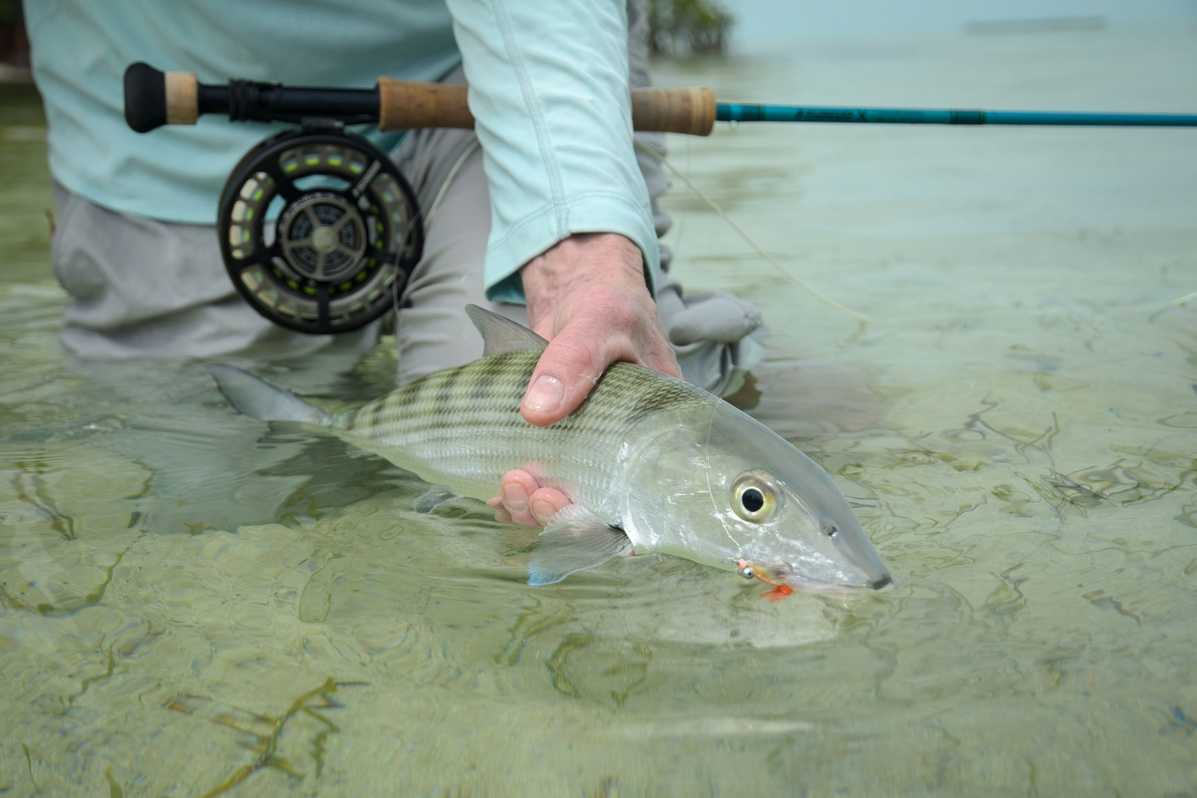 Lori-Ann Murphy, Flats flyfishing, saltwater school