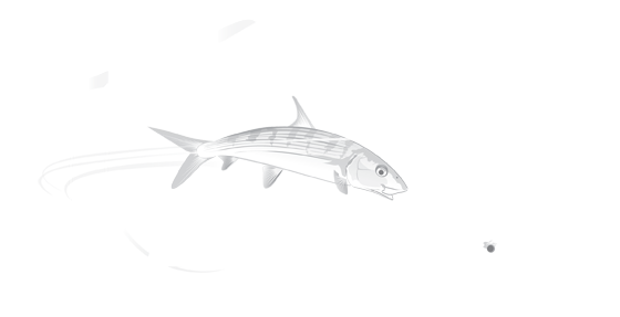 Reel Belize Fly Fishing Logo Footer